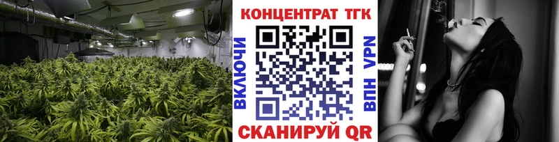 darknet телеграм сколько стоит Северская ТГК вейп с тгк