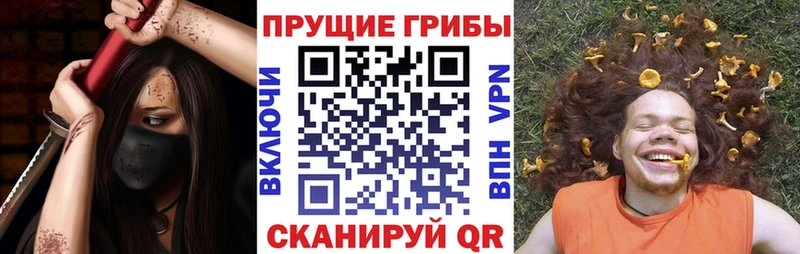Псилоцибиновые грибы ЛСД наркотики Северская
